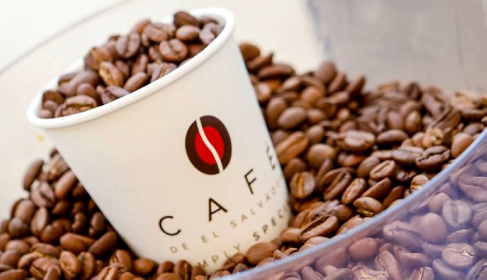 El quintal de café salvadoreño se exporta a récord de $263 en cosecha 2024-2025