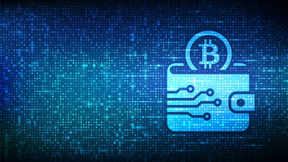 Ciberseguridad en criptomonedas: pasos para proteger tu wallet