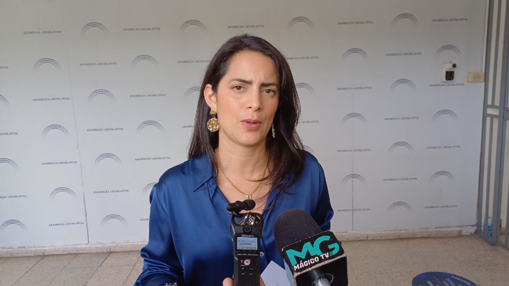 Claudia Ortiz critica regulación "muy amplia" de sociedades de economía mixta para minería en El Salvador