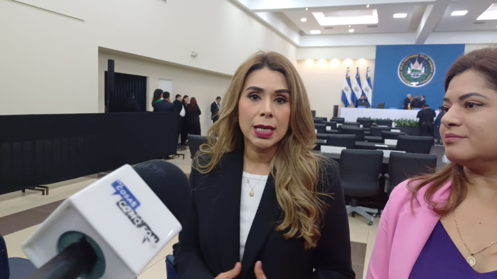 Marcela Villatoro: "Era el momento para pedir que se les diera una situación migratoria legal"