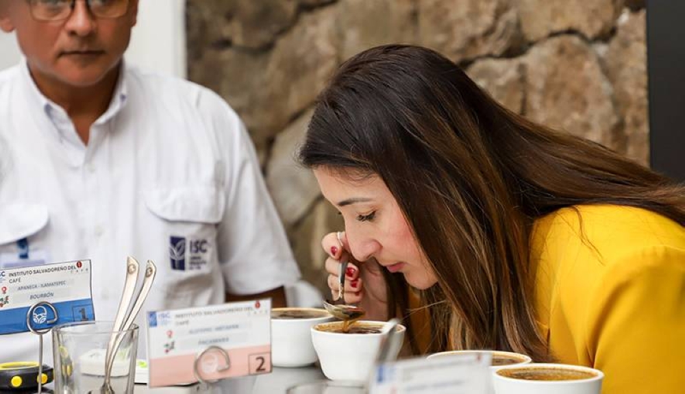 Empresario de Turquía conocen el café salvadoreño para su eventual exportación