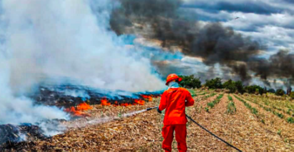 Bomberos sofocan incendios en maleza seca y material explosivo