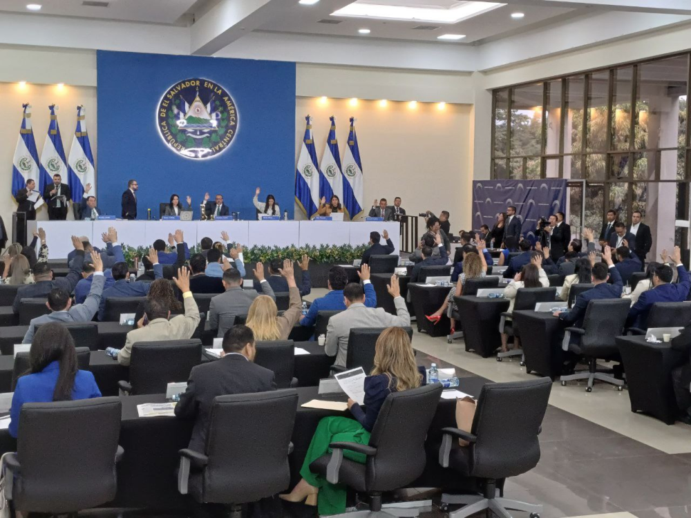 Educación podrá adjudicar obras para escuelas sin licitación y Estado participará dice diputado de NI