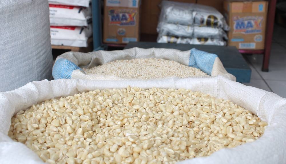 Productores advierten que en julio incrementarán las importaciones de granos básicos por baja cosecha