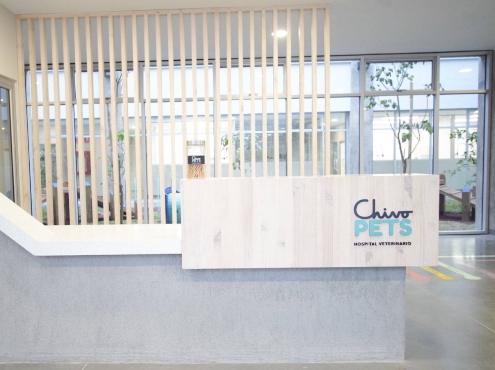 Bukele anuncia cierre de Chivo Pets, Bienestar Animal y Polipet