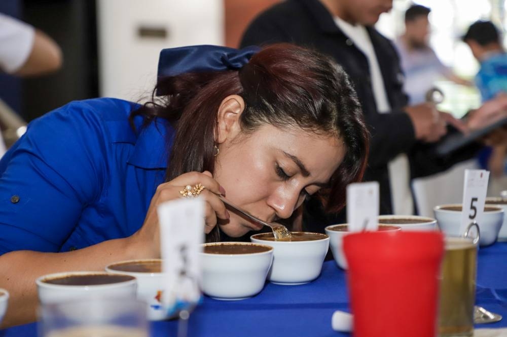 Inicia el certamen que busca el mejor café de El Salvador