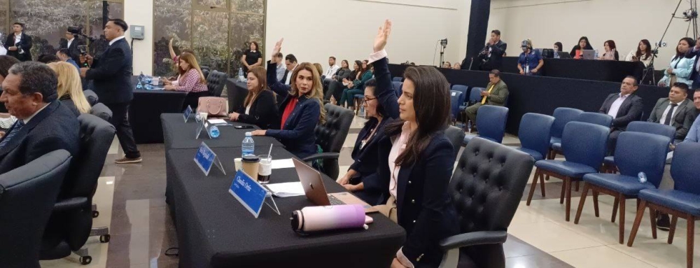 Marcela Villatoro pide prohibir que financistas de partidos participen en licitaciones públicas