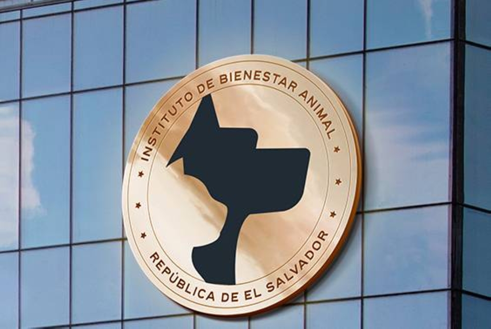 ¿Qué pasará con el Instituto de Bienestar Animal?: diputados aún no reciben proyecto de reforma para suprimirlo