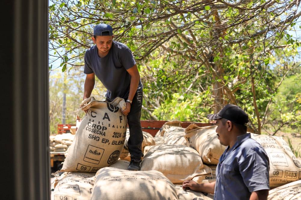 El Salvador realiza el primer envío de 1,000 quintales de café a Marruecos