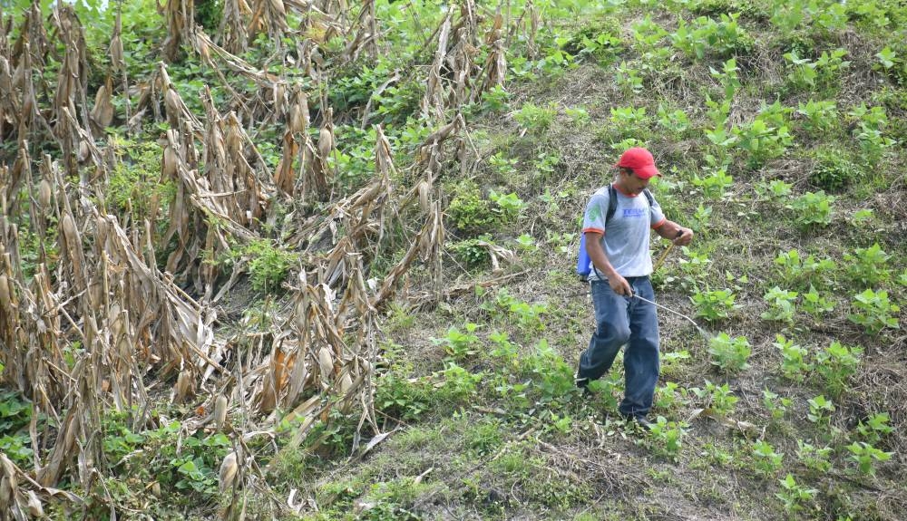 El sector agropecuario pasó de representar 40 % del PIB a 5 % en los últimos 50 años