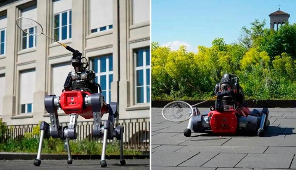 Logran que un robot juegue al bádminton con humanos y coordine percepción y movimiento