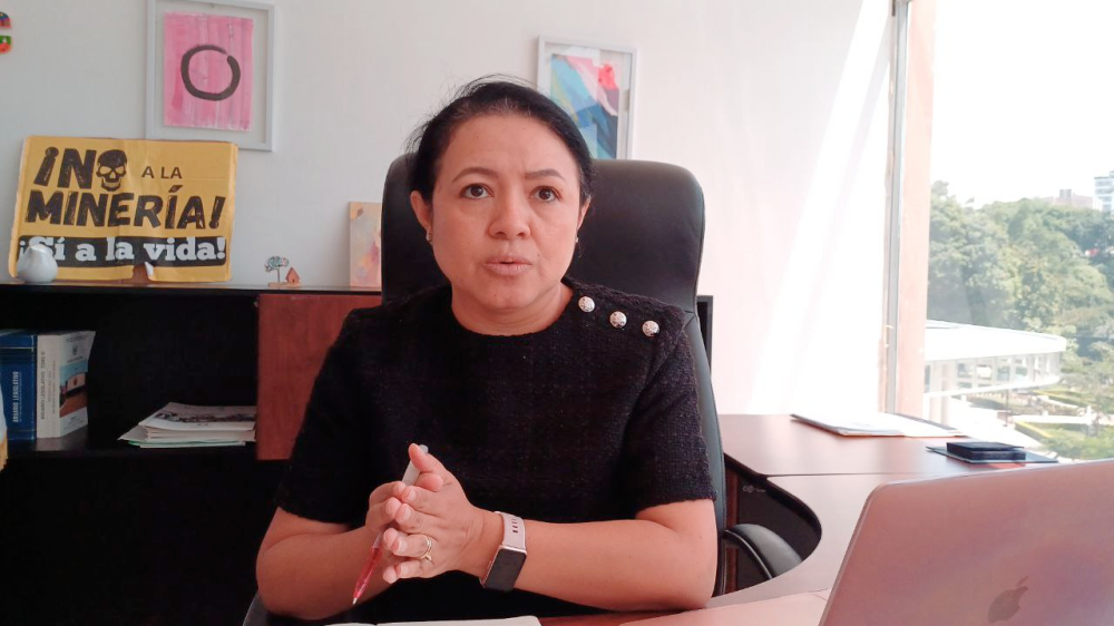 Secretaria general de Vamos: "No podemos hacer alianzas con partidos señalados por corrupción"