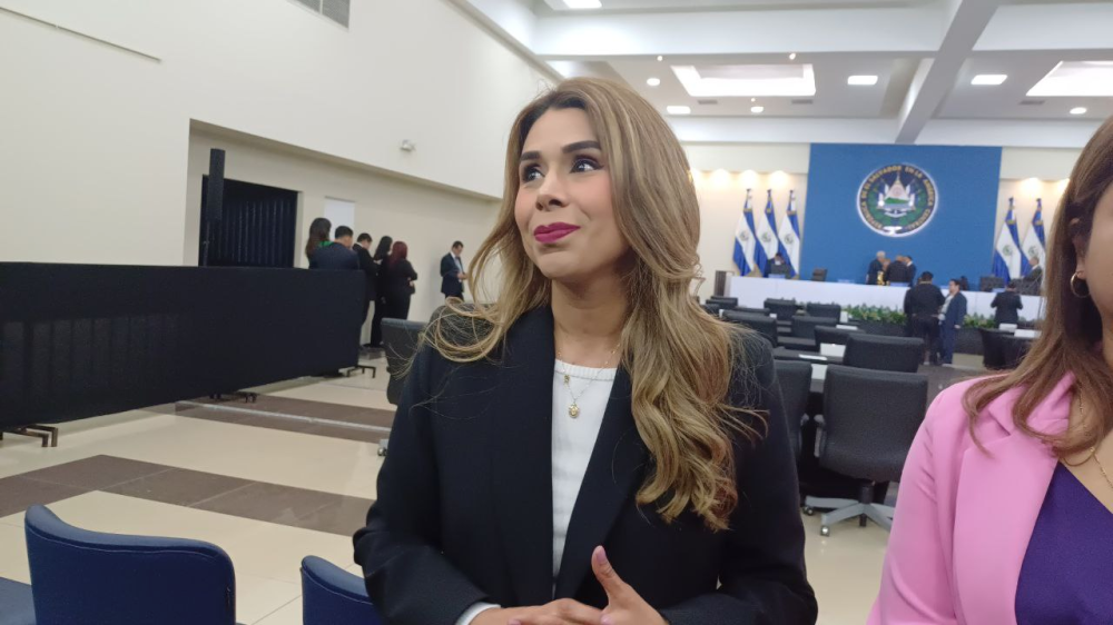 Marcela Villatoro critica "falta de madurez política" de Secretaria General de Vamos