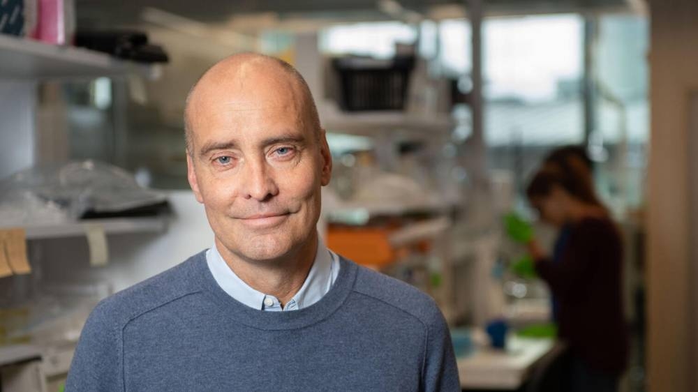 Un estudio aporta nuevas pruebas de que el cerebro forma neuronas nuevas toda la vida