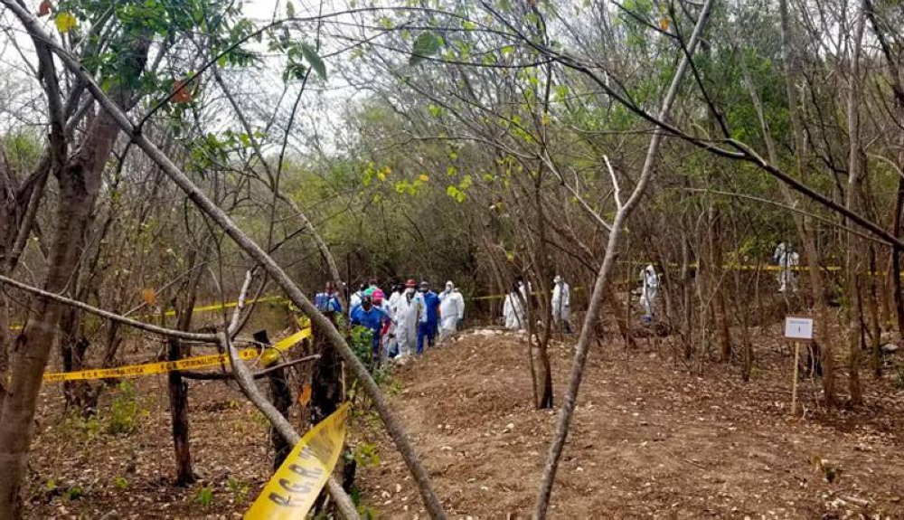 Especialistas en México afinan método para localizar fosas clandestinas mediante flores y animales