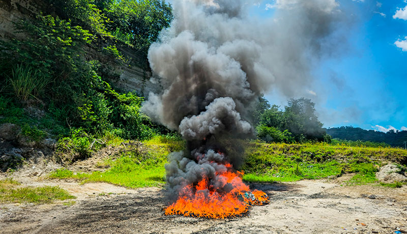 Diferentes instituciones participaron en la destrucción de la droga ligada a 14 casos. / FGR