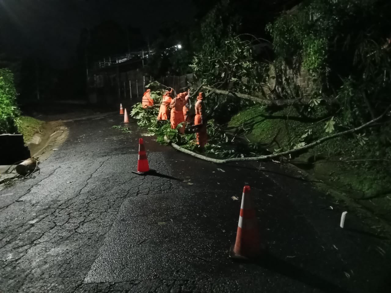 Instituciones removieron un árbol en la calle San Miguel de las Mercedes, Chalatenango/ Foto MOPT.