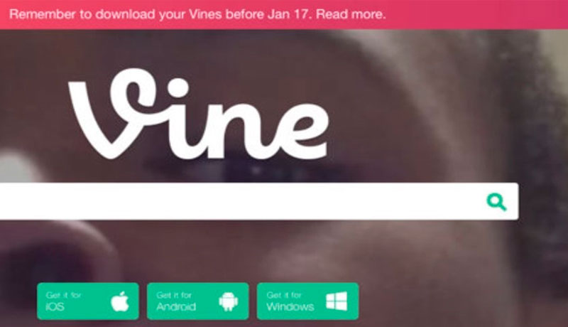 Elon Musk trabaja en el regreso de Vine