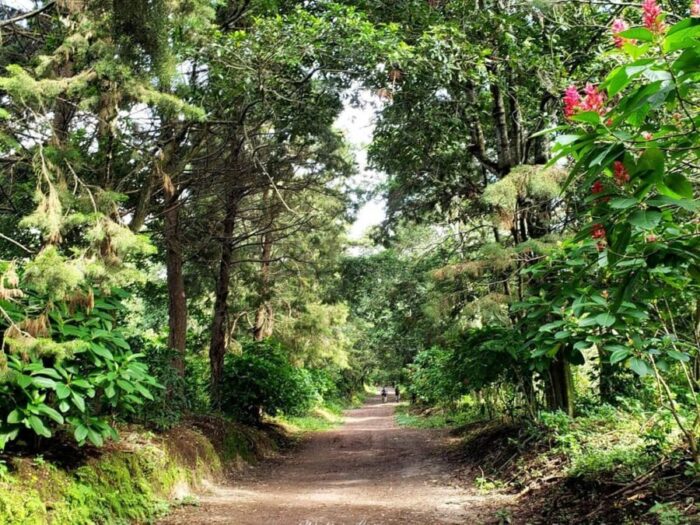La UES pide trasladar construcción del CIFCO de finca El Espino y solicita a China respetar el medio ambiente