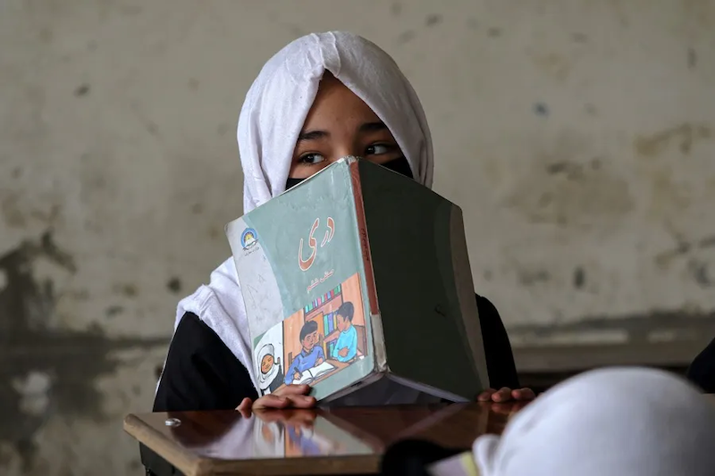 UNICEF denuncia que 2.2 millones de niñas tienen prohibido recibir clases en Afganistán