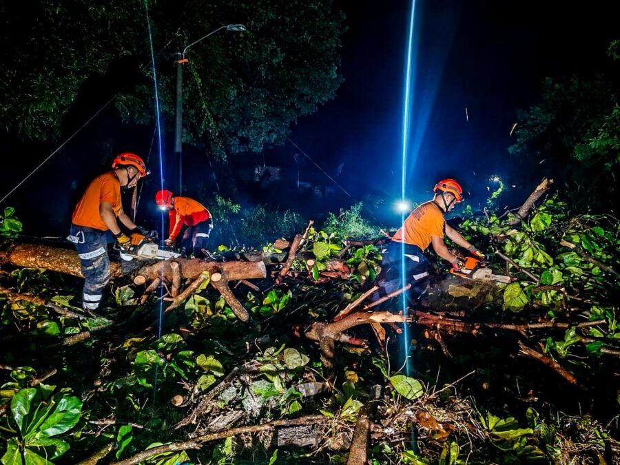 Lluvias del jueves causan derrumbes y caída de árboles en San Salvador, Santa Ana y otros puntos del país