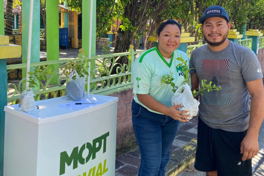Fovial regalará árboles y plantas en estos cementerios el 2 de noviembre