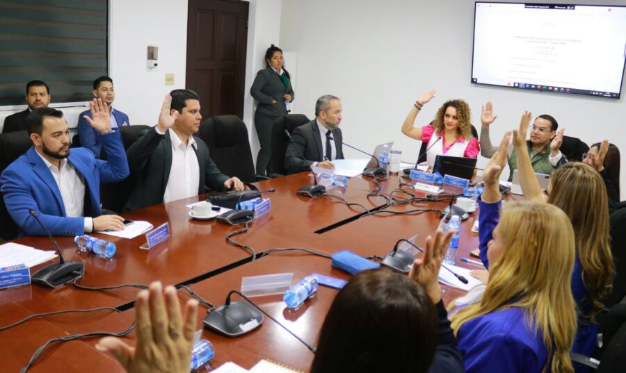 ¿Cuántas sesiones de trabajo tuvieron los diputados en 2025?