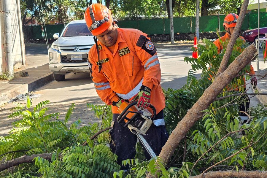 Vientos dejan 30 árboles caídos, 7 viviendas dañadas y 10 incendios forestales en El Salvador